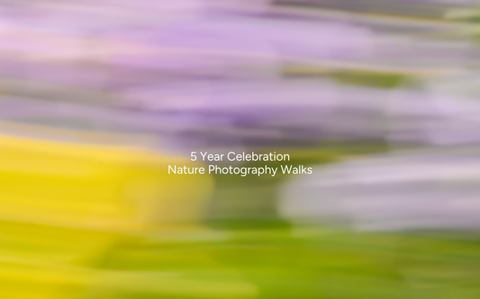 Nature Photography Walks | March 2026 | Flower Club