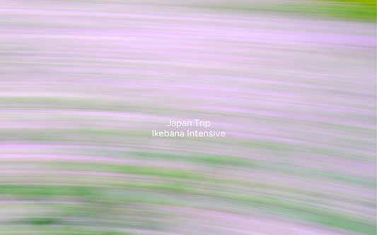 Japan Ikebana Intensive | December 2026 | Flower Club International