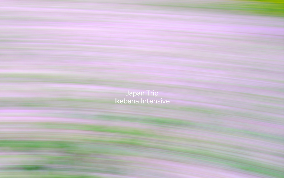 Japan Ikebana Intensive | December 2026 | Flower Club International