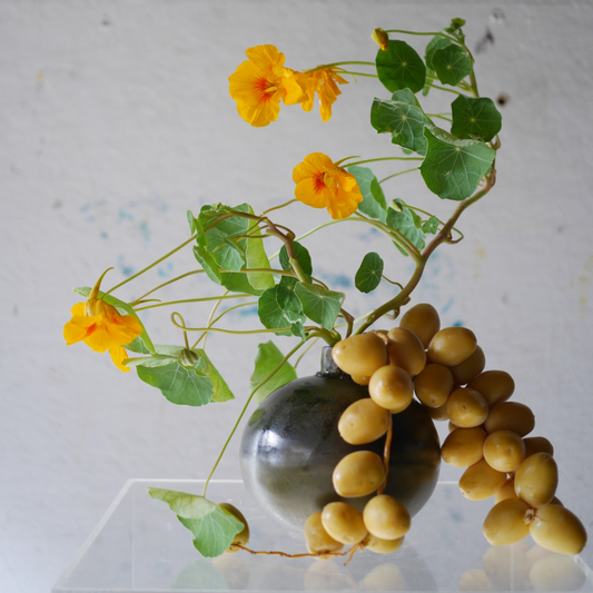 From Weddings to Ikebana: How Florist Lia Colapietro is Redefining Her Creative Practice