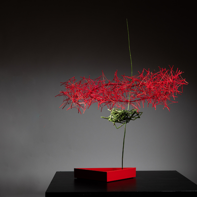 Louise Worner, United States work 3
