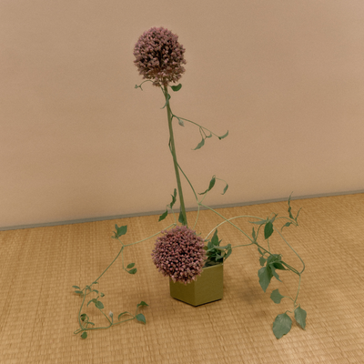 Azzmin Frances, Australia work 1