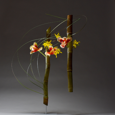 Louise Worner, United States work 1
