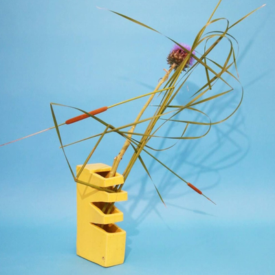 Auralynn Nguyen, United States work 2