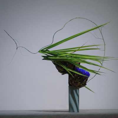 Benedict Tsang, Japan work 1