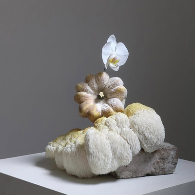 Caterina Tandello, Italy work 2