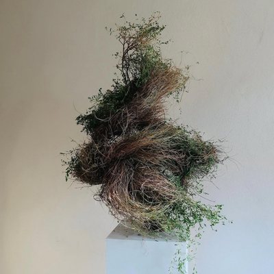 Caterina Tandello, Italy work 1