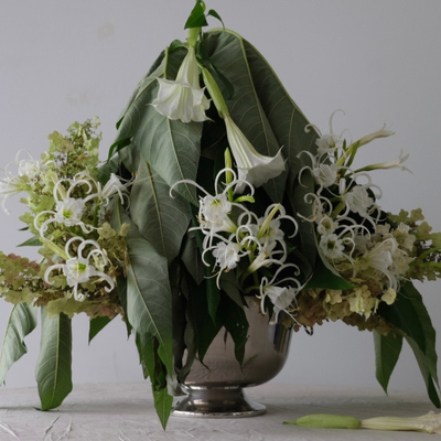 Clément Bouteille, France work 1