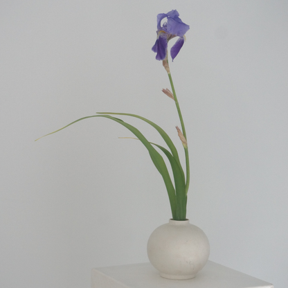 Sydney Chabana - Ikebana Workshop | Flower Club International