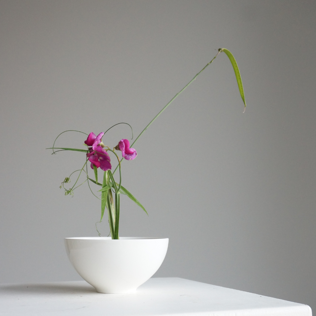 Sydney Chabana - Ikebana Workshop | Flower Club International