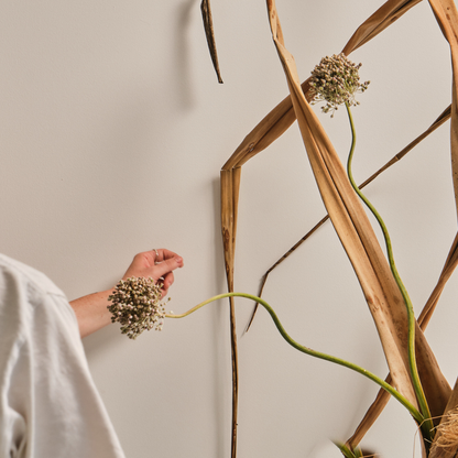 Japan Ikebana Intensive & Exhibition 2026 | Flower Club Tokyo