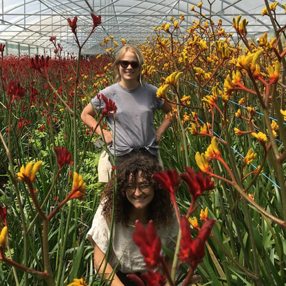 Floristry Portfolio Workshop | Sydney Summit 2026 | Flower Club International