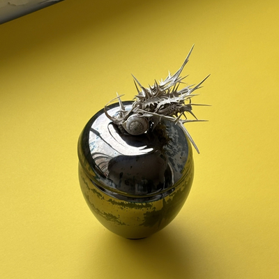 Hayley O'Byrne (Carmel Floral), Canada work 2