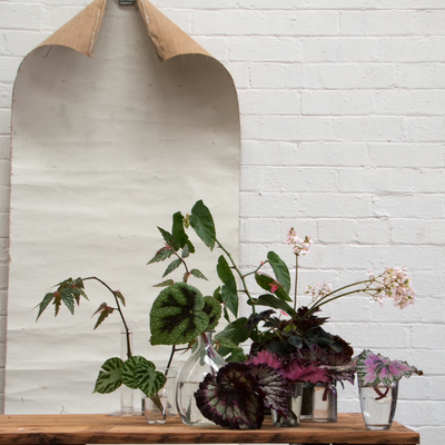 Justine Hansen, Australia work 3