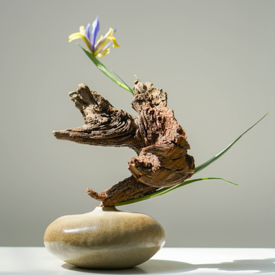 Nixon Tran, Vietnam work 1