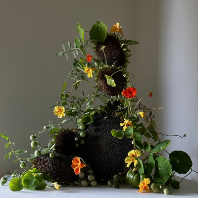 Polina Chentsova, Russia work 1