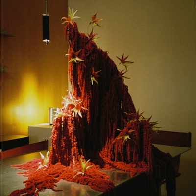 Polina Chentsova, Russia work 2