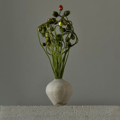 Polina Chentsova, Russia work 3