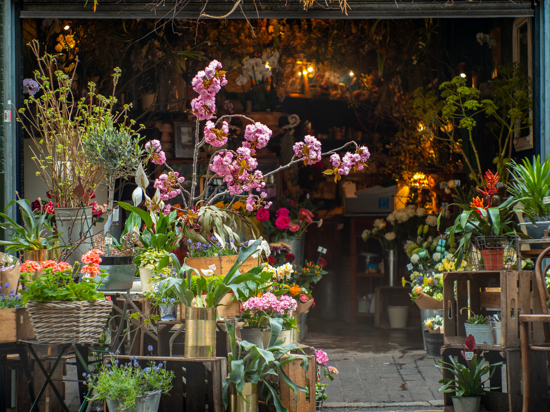 23 Steps to Becoming a Florist in 2023