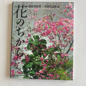 Power From Flower by Teshigahara Akane and leading Sogetsu Artists - Pre-Loved Book