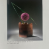 Tiny Flowers Preloved Ikebana Book
