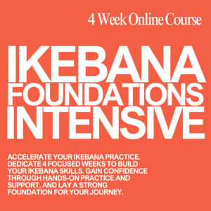 The Ikebana Foundations Intensive - 4 week course